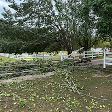Tree-Debris-Removal-Storm-Cleanup-in-Oxford-MS 5